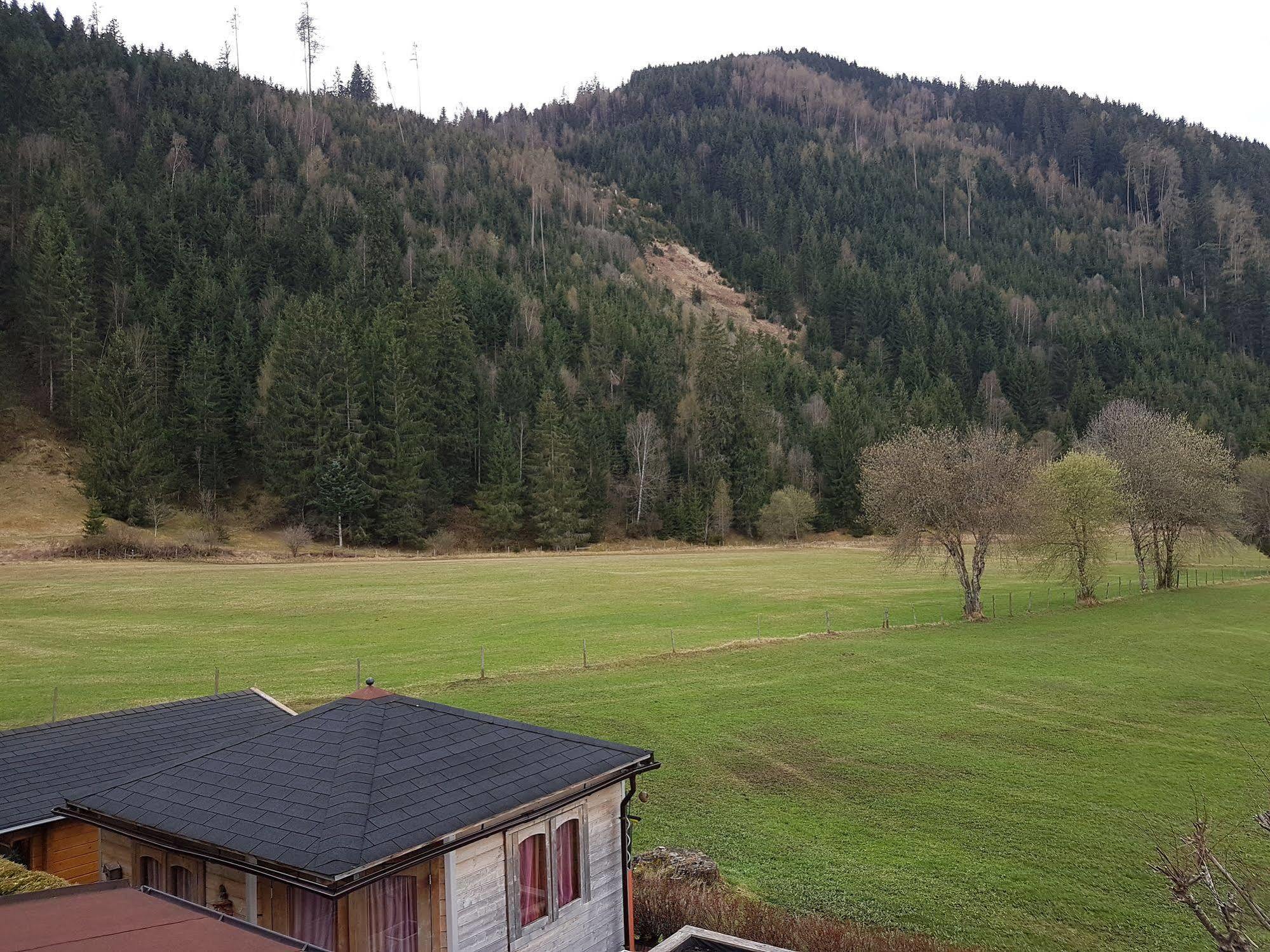 Das Taubenhaus Hollersbach im Pinzgau Extérieur photo